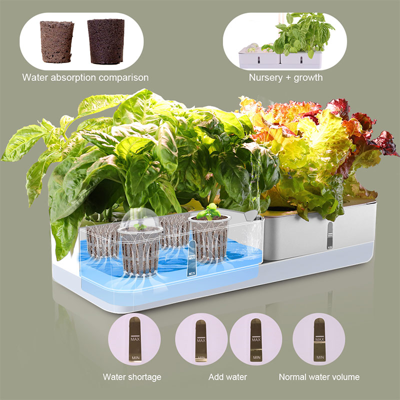 diy-hydroponic-system-exporter