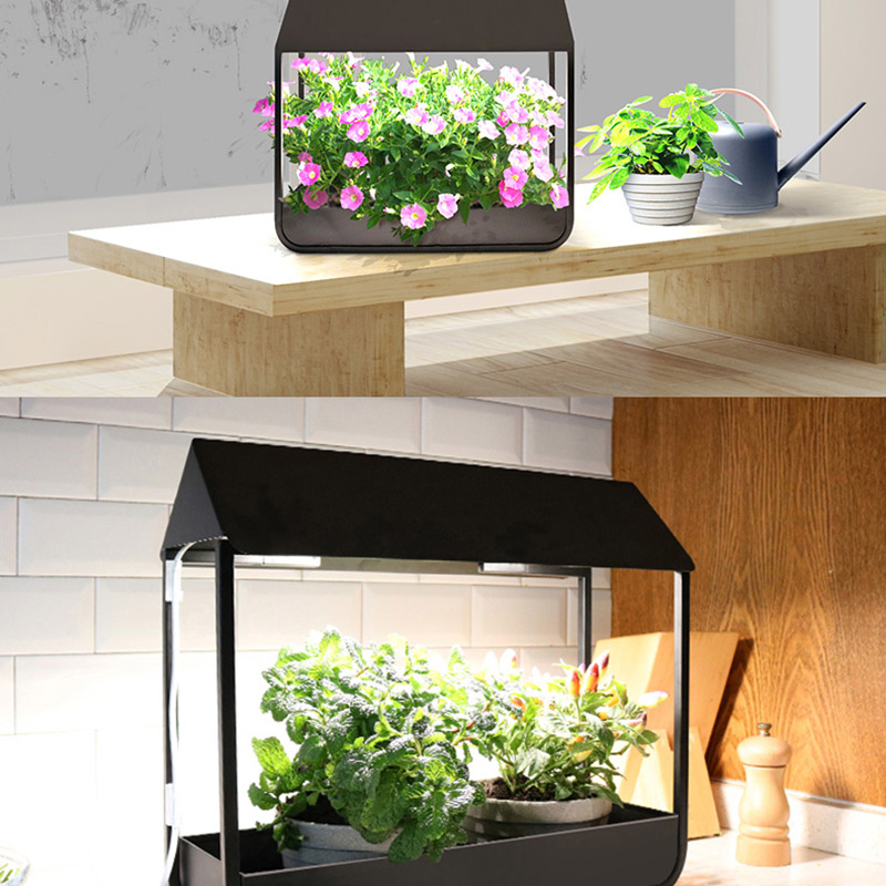 indoor-vegetable-garden-system