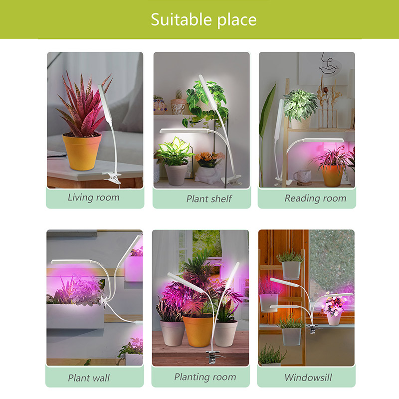 plant-light-for-succulents-wholesale